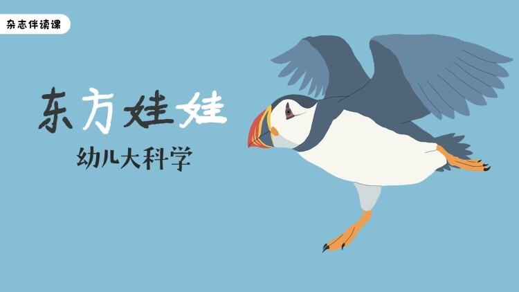 威尔与哈珀老友公路游