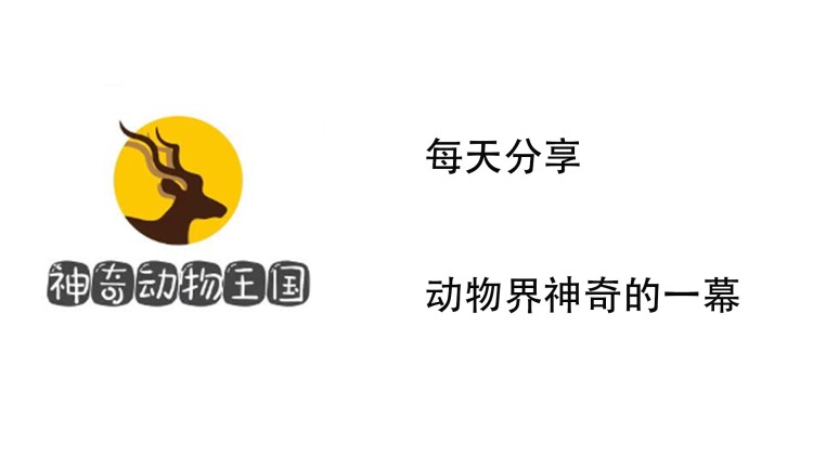 爸的成长与家庭的未来