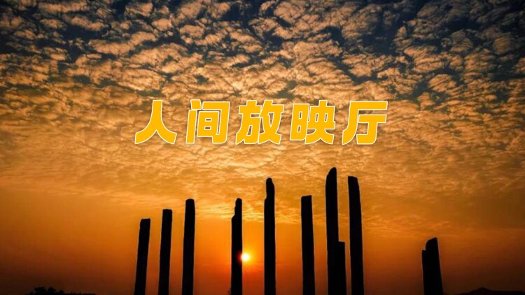 闻是无儿白发明：过去的错失与遗憾交织