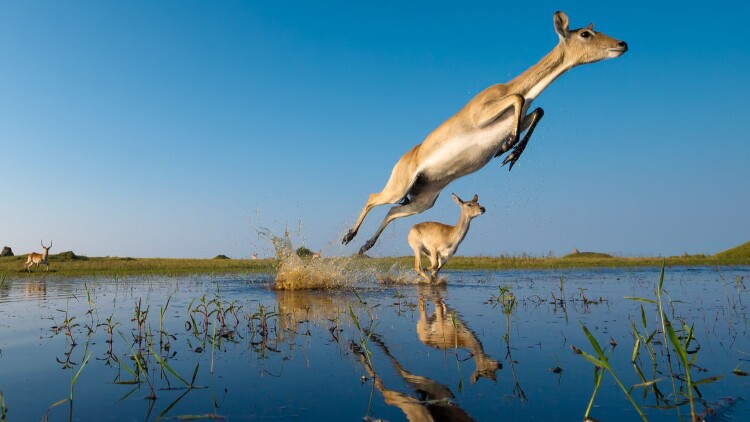 《无法克制深爱》初识与情感萌芽
