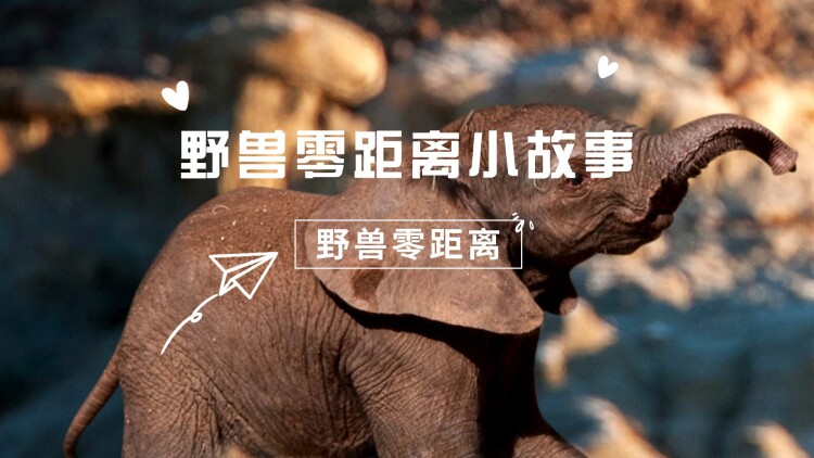 《我被女帝偷听心声》最新选集