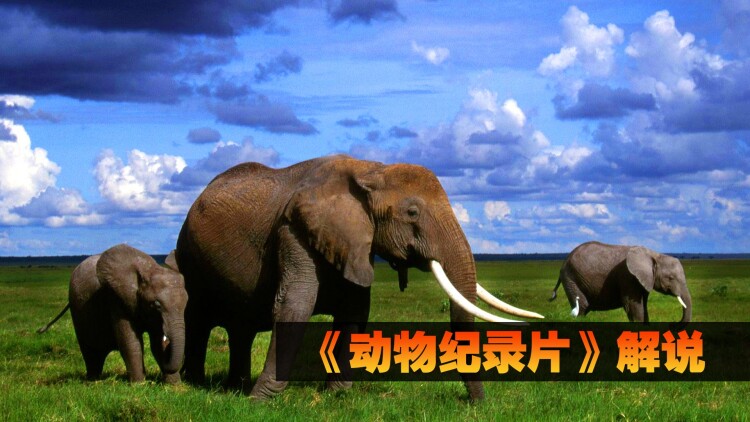 变成你爱的模样