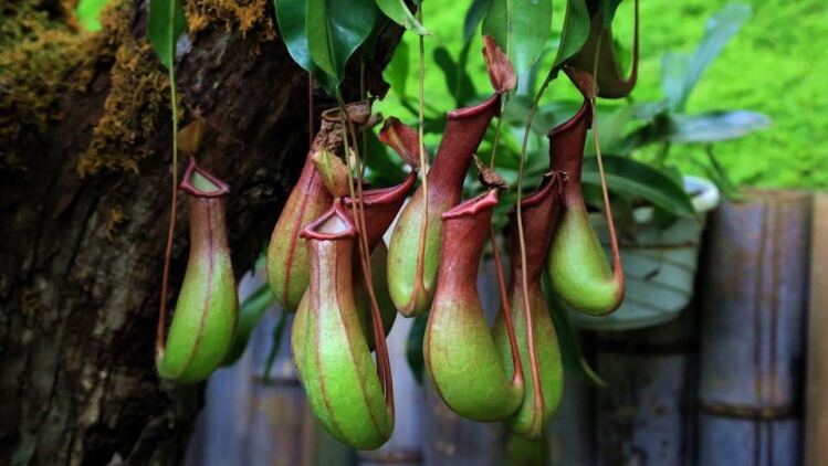 重返1999我的商业版图从高三开始