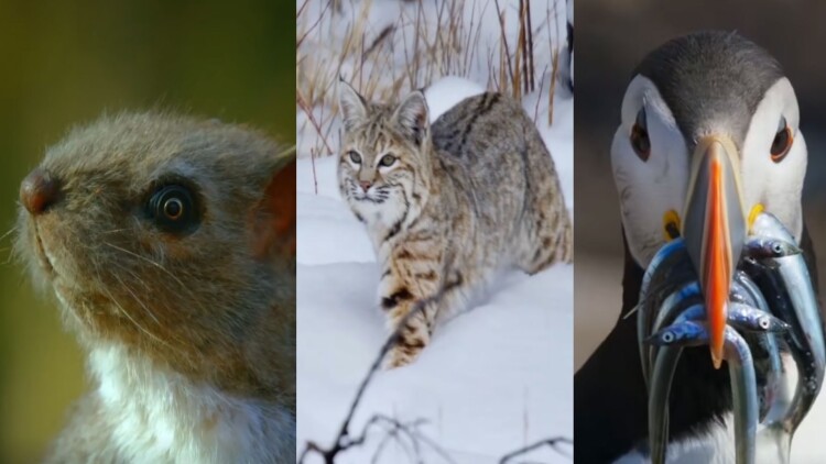 飒爽妈咪是大佬