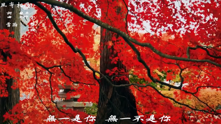 斗破苍穹动态漫第三季