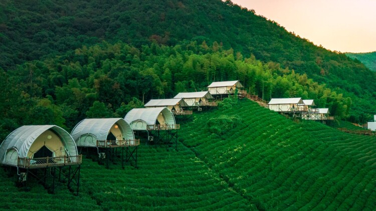 特工儿子民工父亲