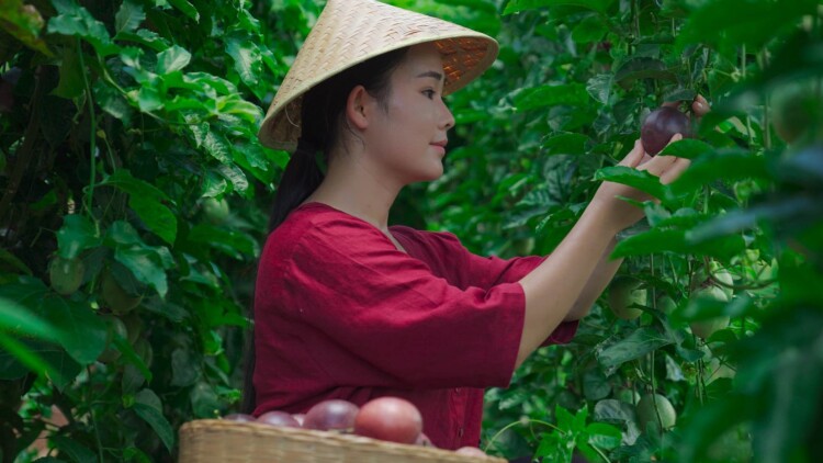 三个妹妹把我全网曝光——意外的开始