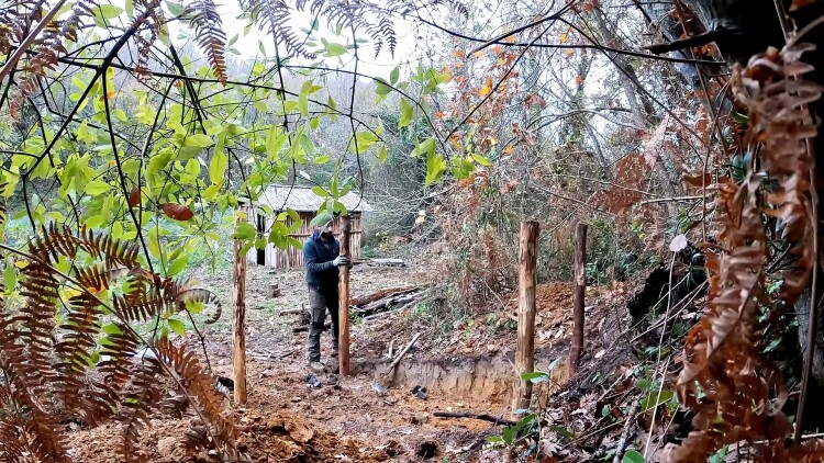 裁员裁到金主夫人