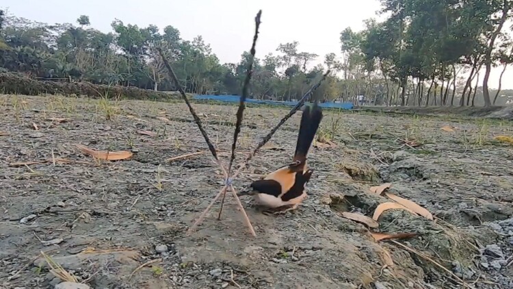 暖阳面馆的美好未来