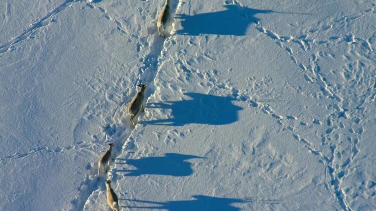 情深似海终成空