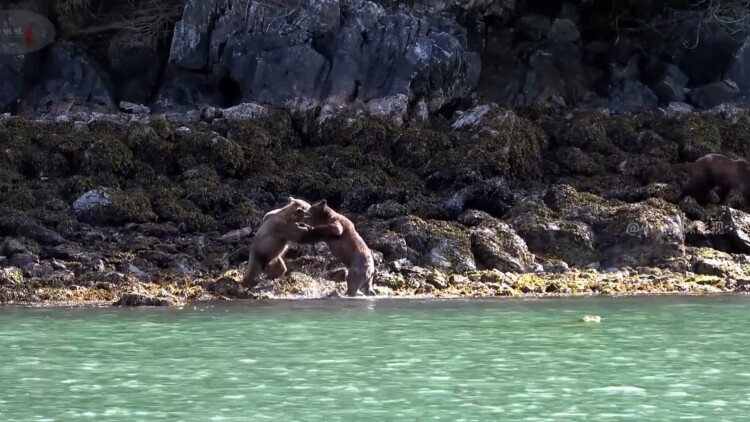 错爱于她：初遇的错觉