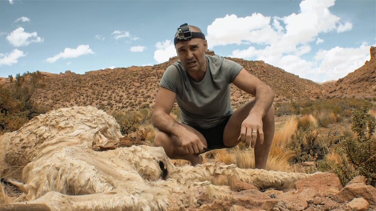 她是我女儿·回忆与惆怅