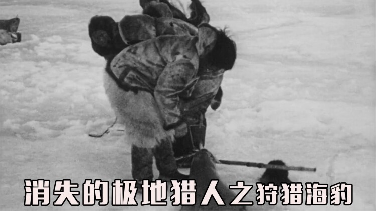 此生愿与君陌路