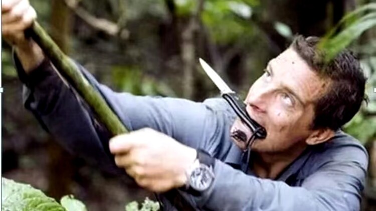 《离开已久的英雄》——危机再临的呼唤