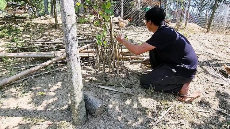 《深居其中》最新选集