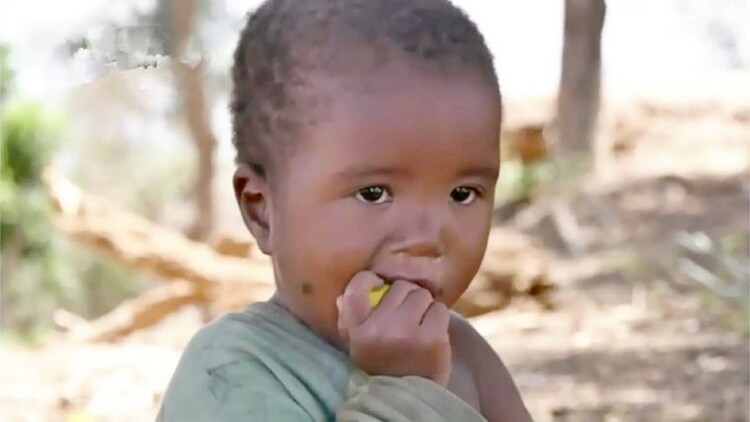 念念入淮——决心与抗争