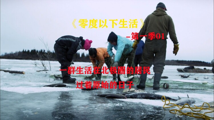 裴总夫人偷偷生崽了