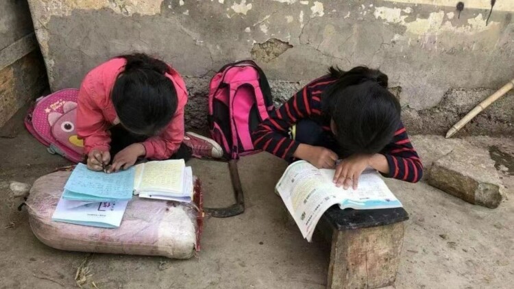 《邀君渡红鸾》命运相逢的起点