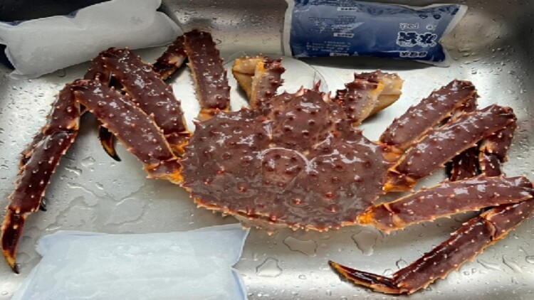 回到古代夺皇位