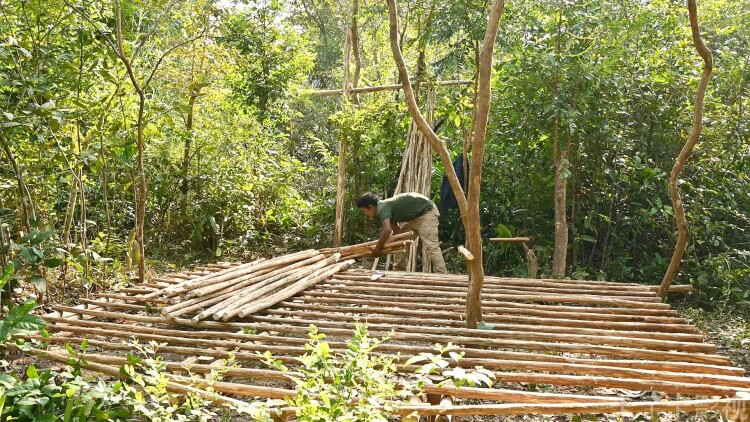 告别错爱离婚亦欢