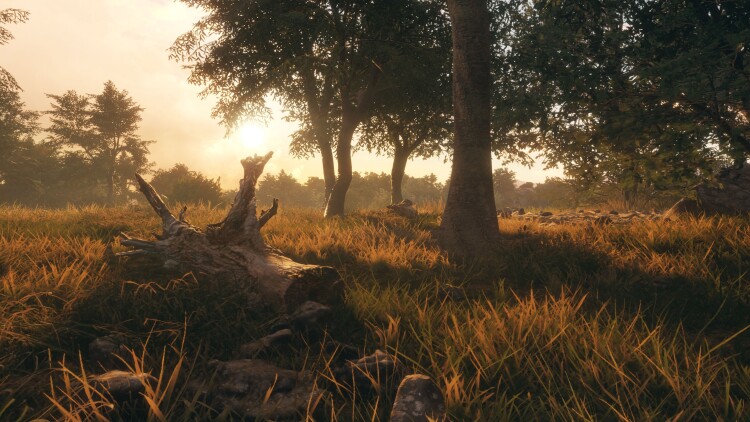 随春且看归何处