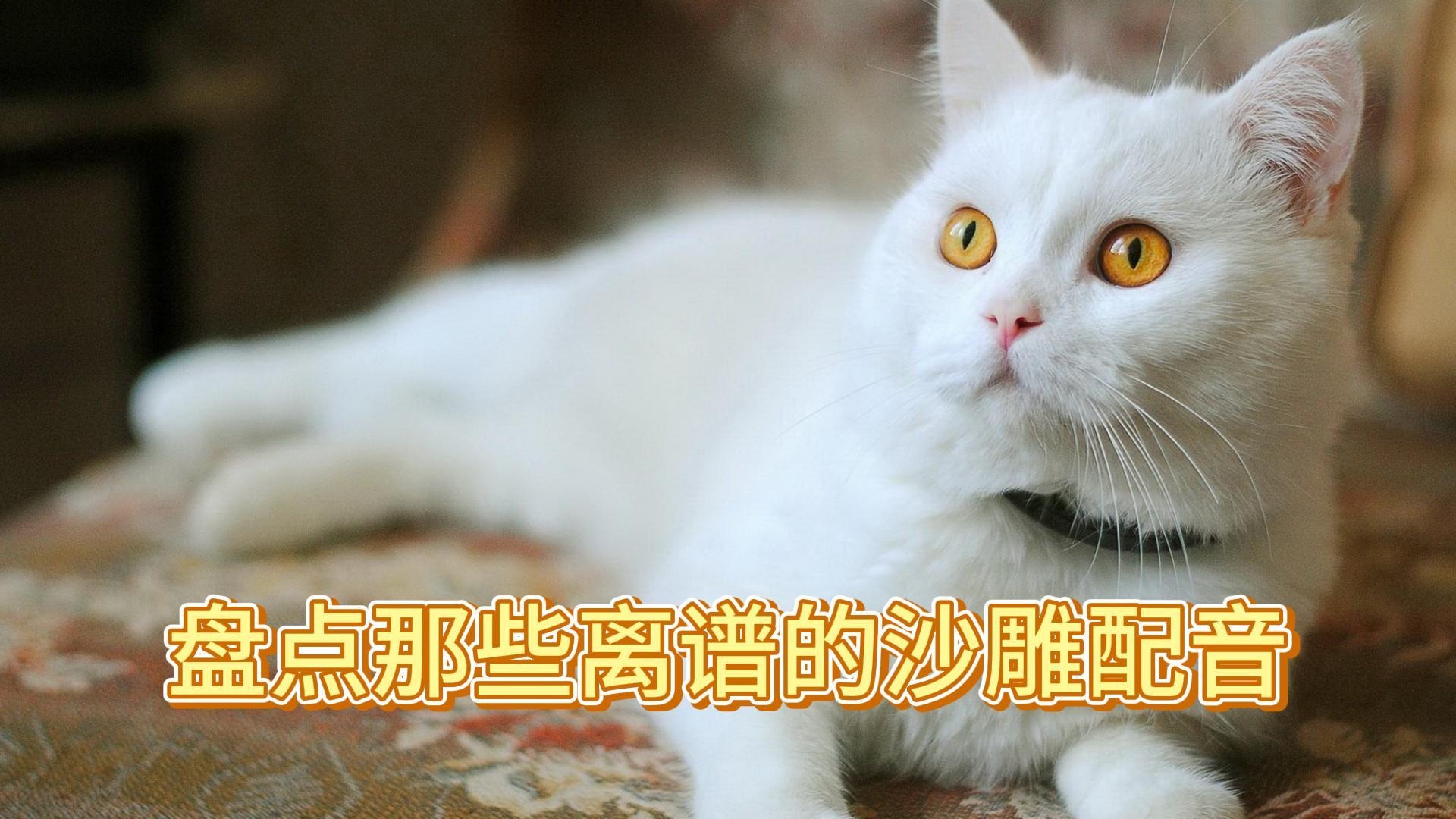 盘点那些离谱的沙雕配音！_你个栽贼，我上你的洋当！_综艺_高清完整版视频在线观看_腾讯视频