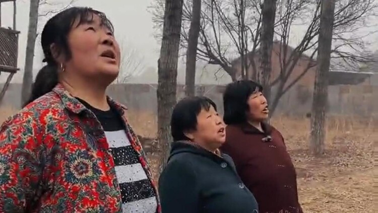 整人大赏国际版2023