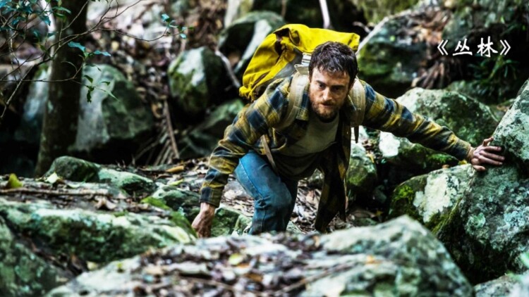 长生诀：情感的纠葛