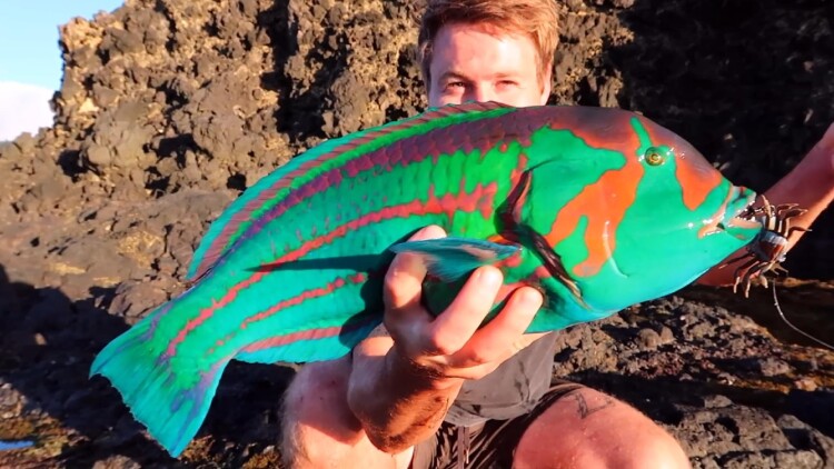 埋葬父母后再也不原谅