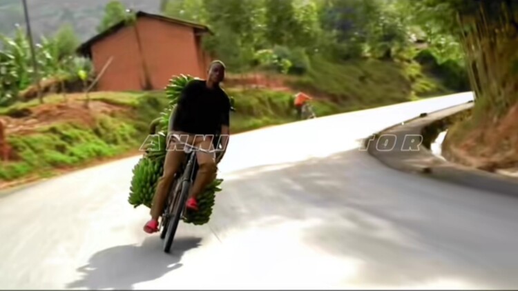 我家主妇竟是女战神