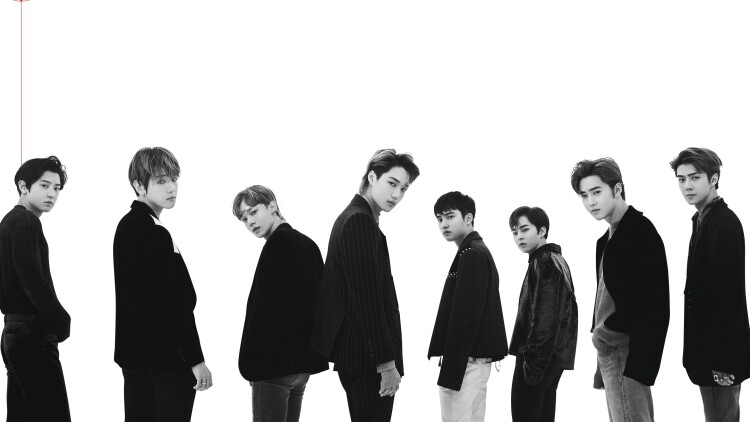 奇妙萌可大电影