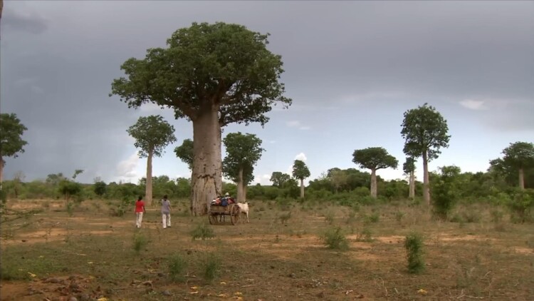 婚姻攻略之星光璀璨