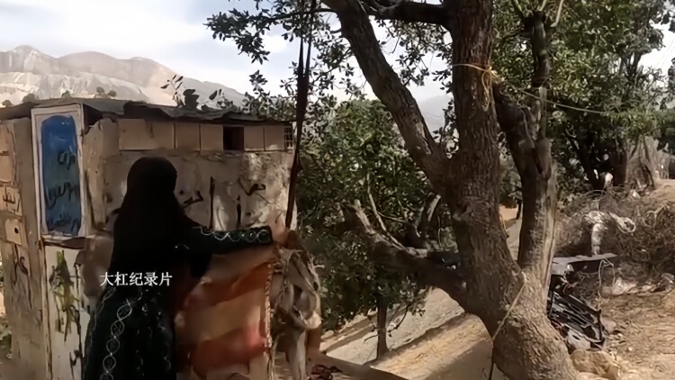 促销活动与会员卡有效期的特殊情况