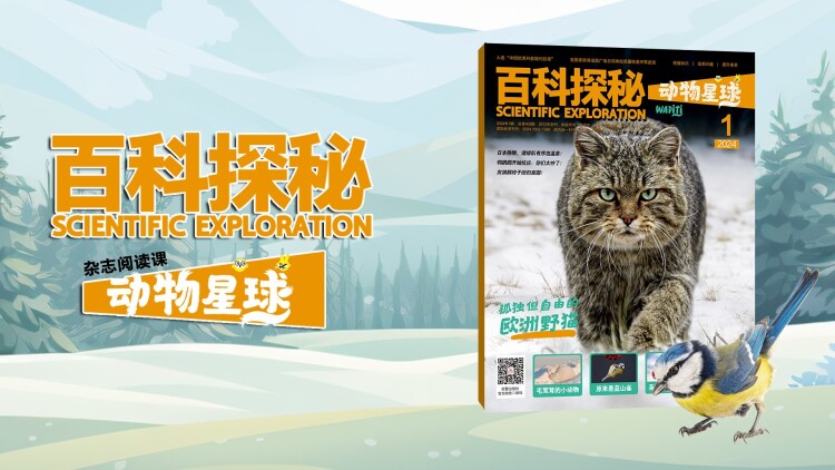 野蛮女友拳拳到肉