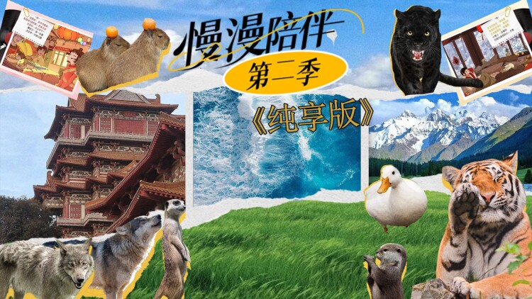 爱情剧：甜蜜又揪心的情感故事