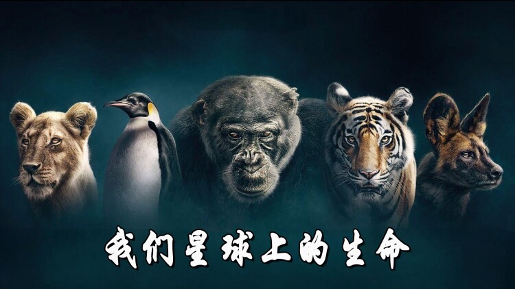 逆风翻盘之我是人生赢家