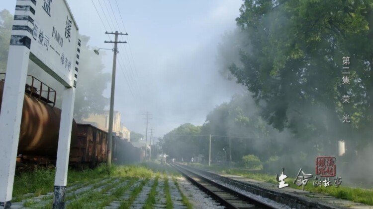 乱来!我居然会成为社长