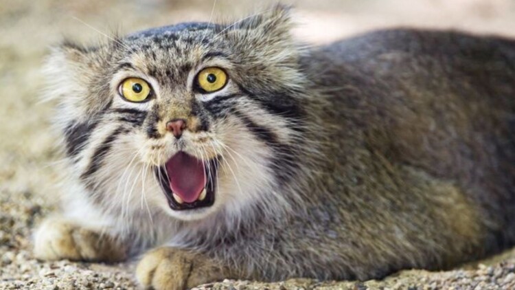 《光光光》最新选集