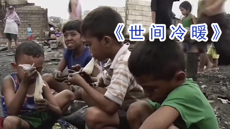 我的钱不养你的白月光