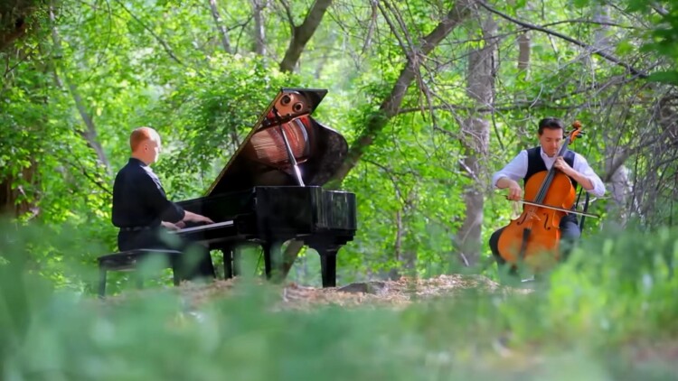 梦想成真后他主动自首的意外惊喜