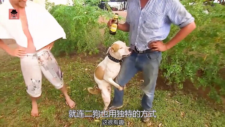 妄折枝·破茧重生