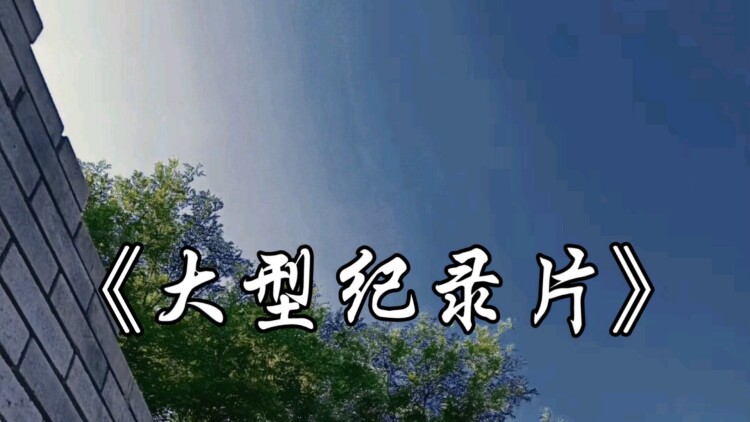 金钱堡垒的友情与背叛