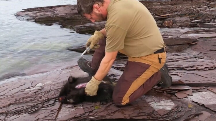 我的23岁美女邻居