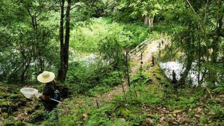 保安老伴是豪门：意外的邂逅