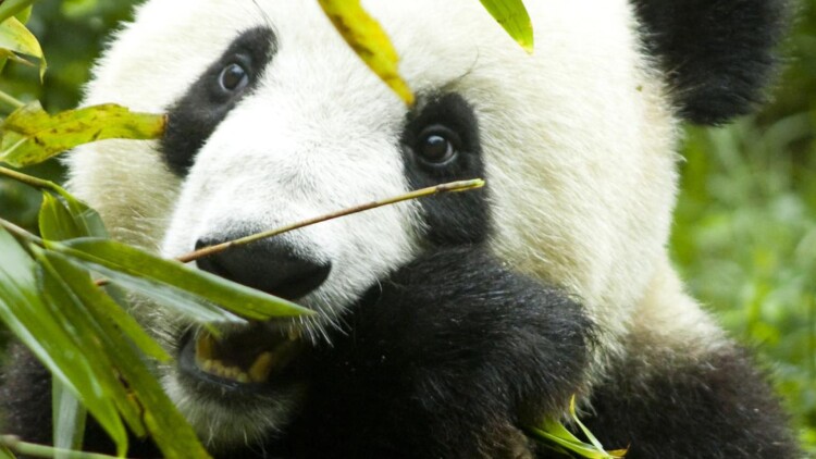 分别后前夫惊艳全场：重拾旧情还是各自天涯