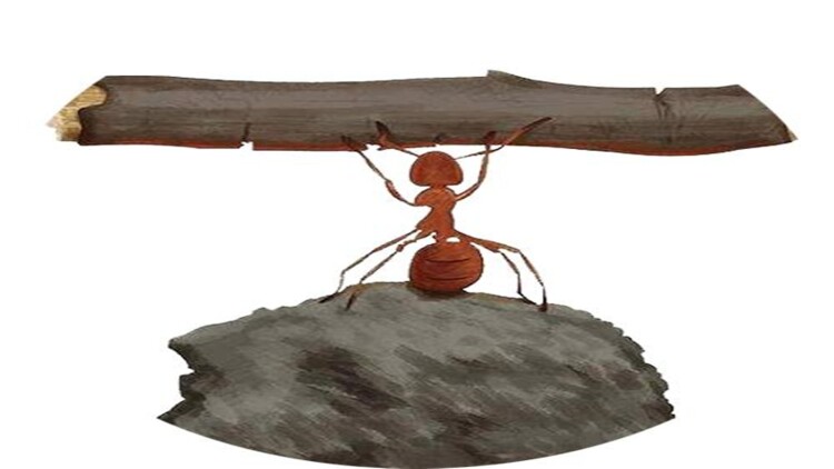 秋叶原冥途战争