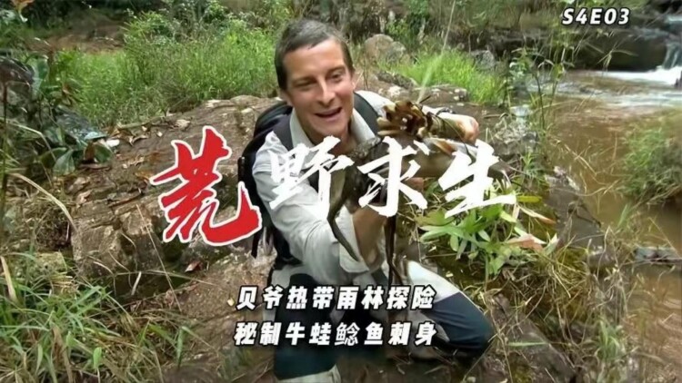 《娇娇甜妻被全家追着宠》初入豪门