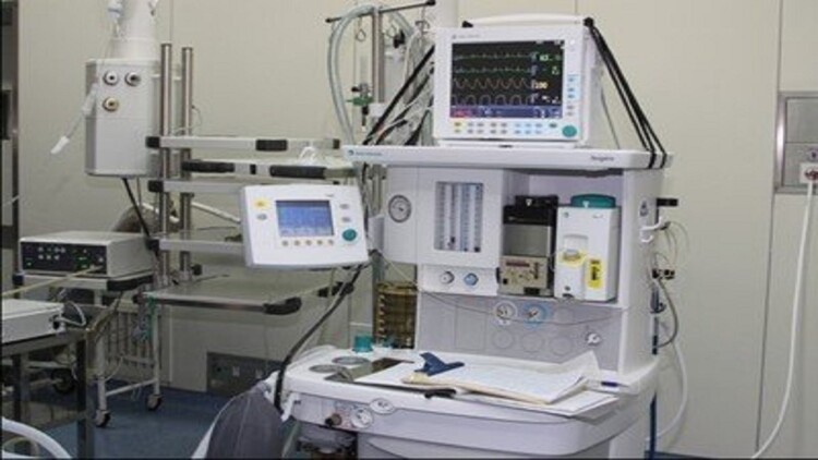 报告唐总夫人带着崽崽回来了