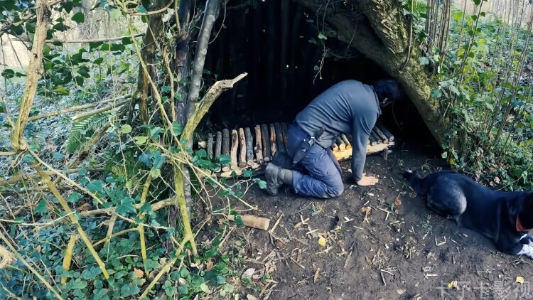 开局人皇鼎我真的想要做皇子