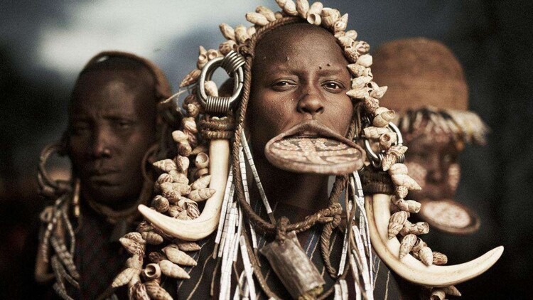 醒来又是一甲子